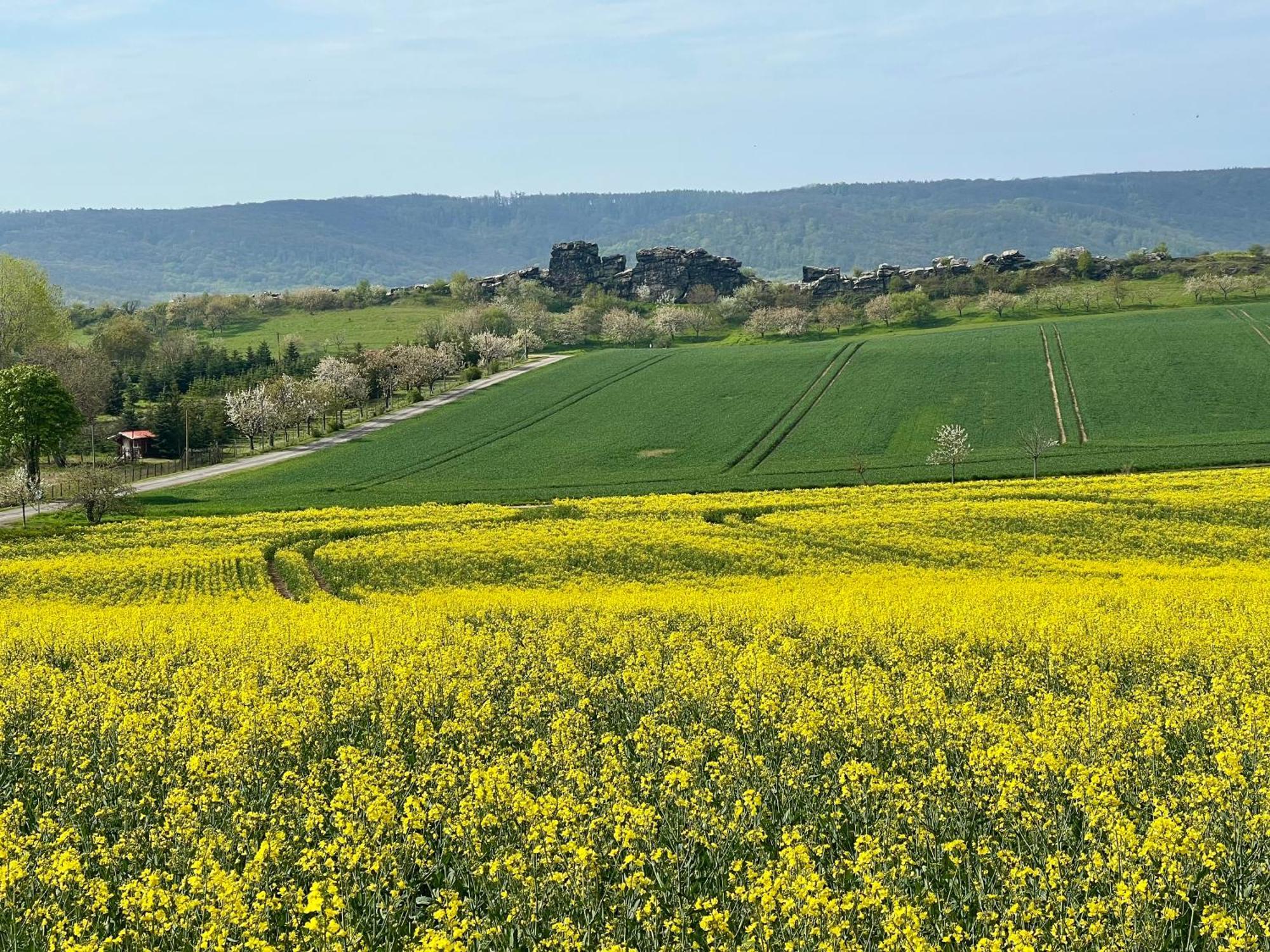 Landhaus Pusteblume Quedlinburg Dış mekan fotoğraf